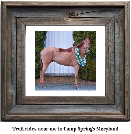 trail rides near me in Camp Springs, Maryland